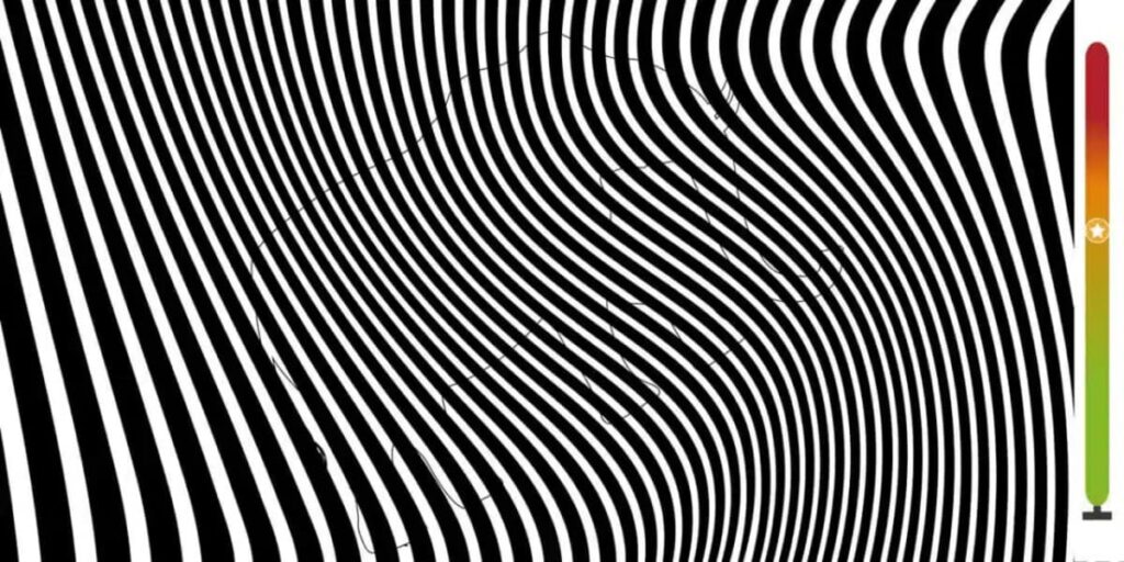 If you see the hidden animal