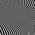 see the hidden animal