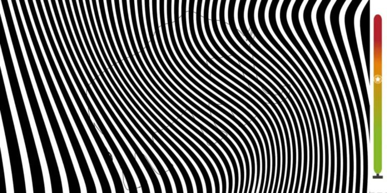 see the hidden animal