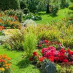 What to Plant in Your Garden in March