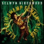 Selwyn Birchwood - Electric Swamp Funkin' Blues