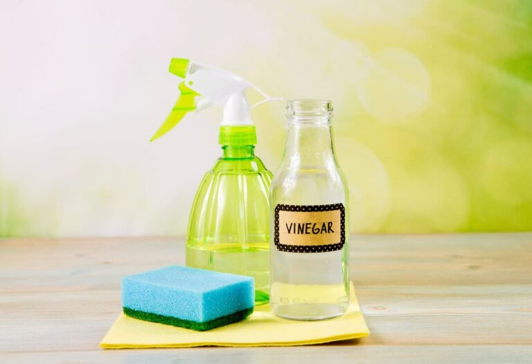 white vinegar - prohibited item