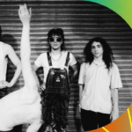 Interview with Geese