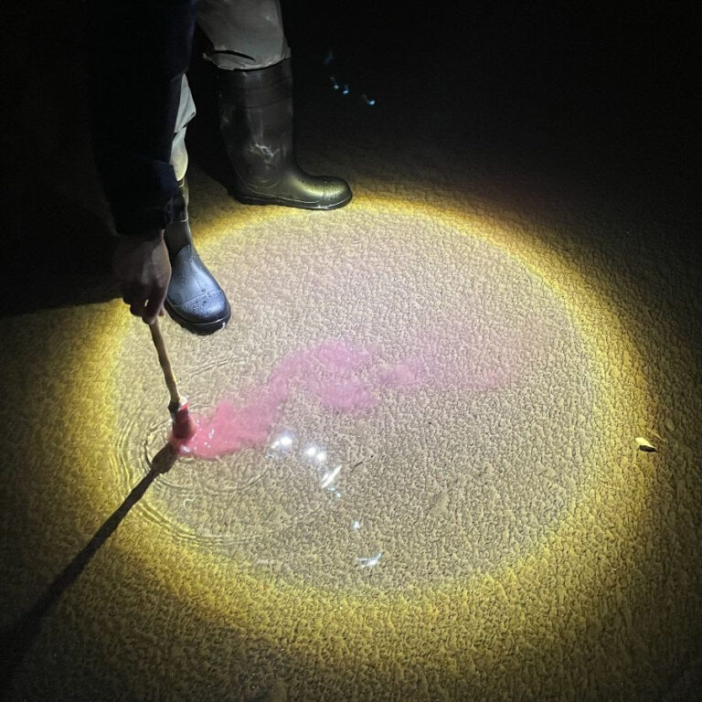 Diles que no me maten escrito en agua