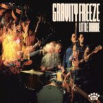 Little Barrie - Gravity Freeze albums