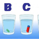 logic test