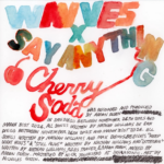 Say anything y wavves