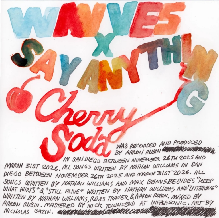 Say anything y wavves