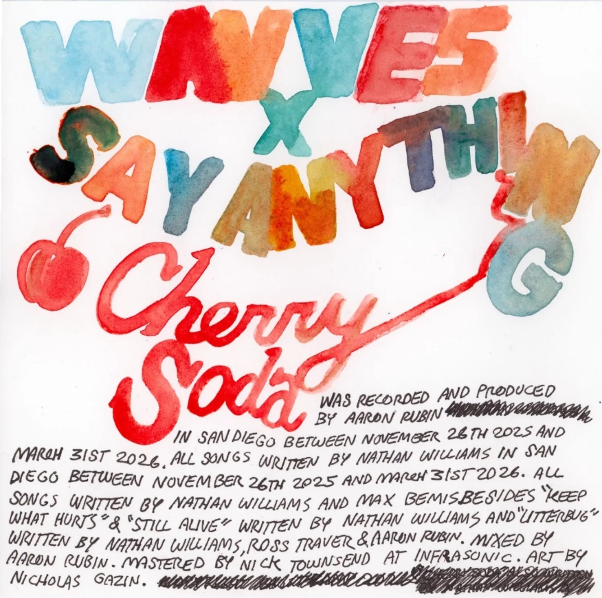 Say anything y wavves