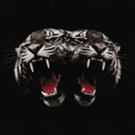 Royalblood deadcompany