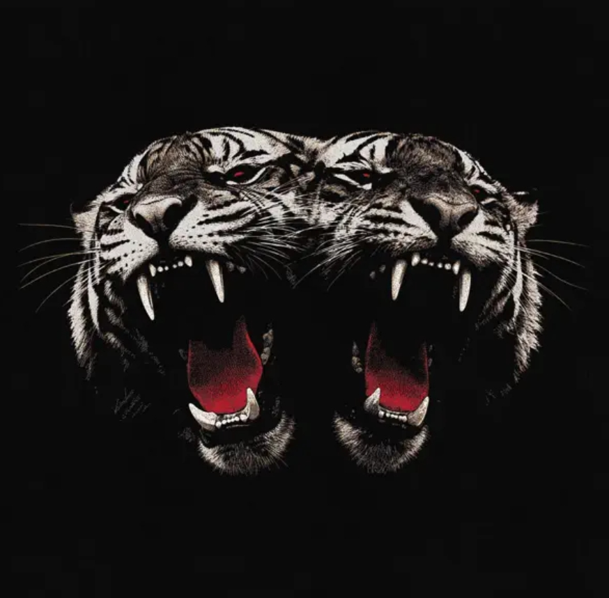 Royalblood deadcompany