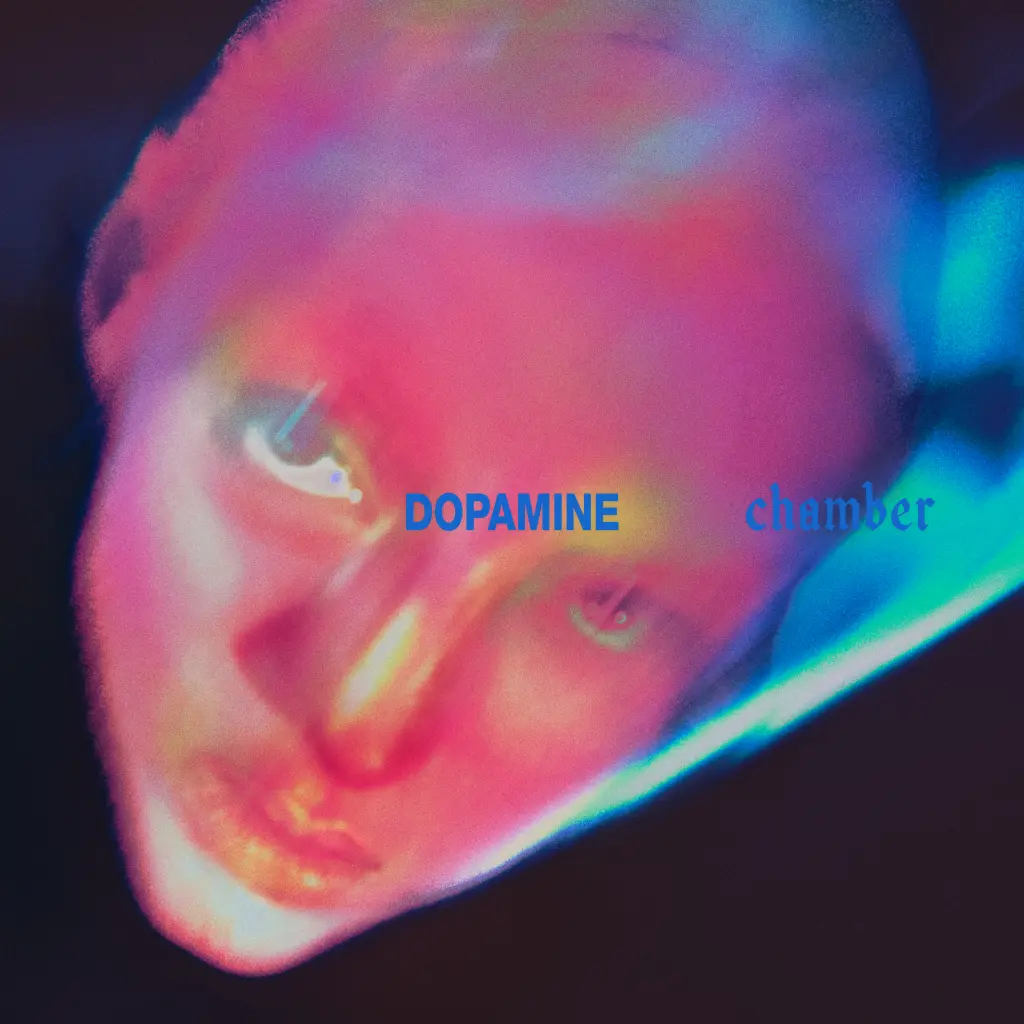 Review: FONTAINES DC - "Dopamine Chamber"